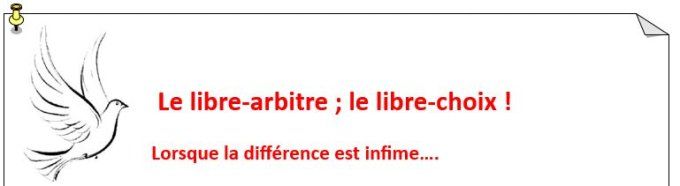 Les Chroniques Volet 10 avec 1 méditation offerte