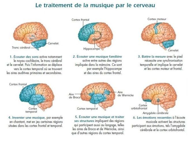 SONOTHERAPIE du nouveau pour augmenter votre réponse immunitaire